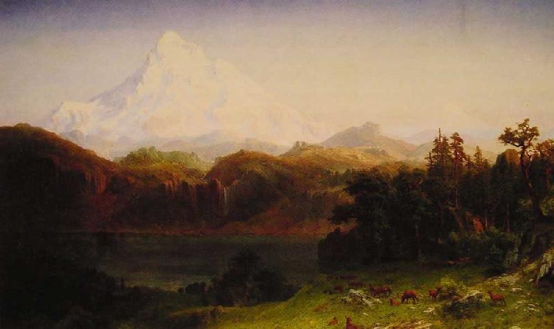 Albert Bierstadt Mount Hood, Oregon Sweden oil painting art